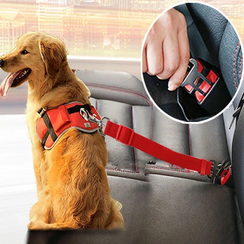 High quality adjustable pet retractable traction rope for car seat belt. - PerroPaws Essential